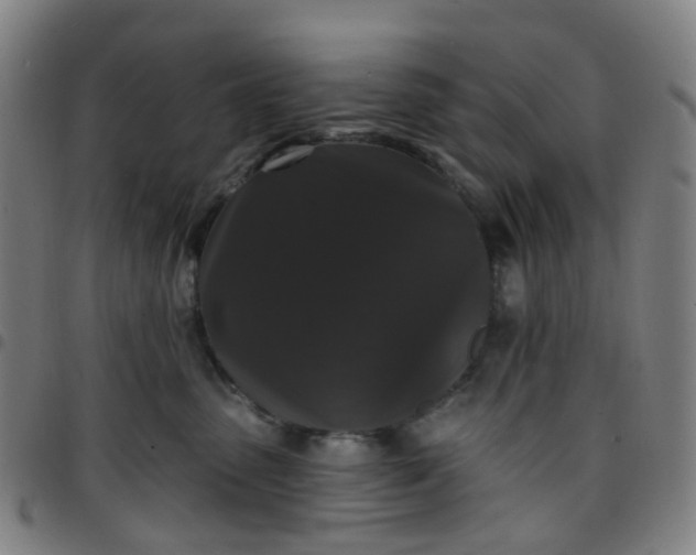 X0000097490475200803071743