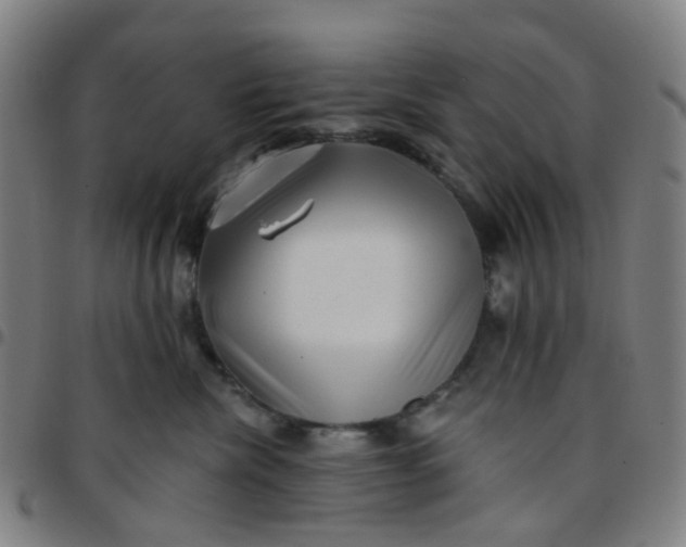 X0000097490476200803071743