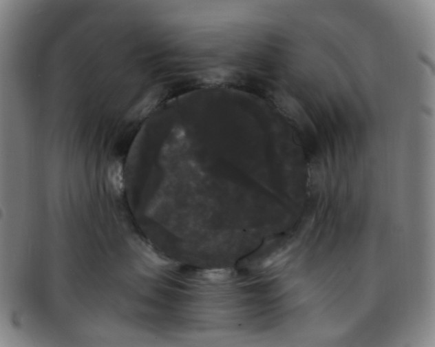 X0000097490479200803071743