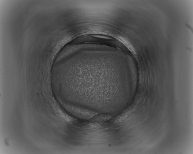 X0000097490481200803071742