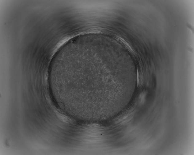 X0000097490483200803071742