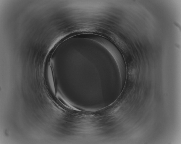 X0000097490484200803071742