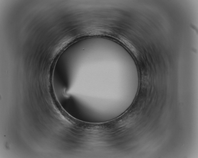 X0000097490485200803071742