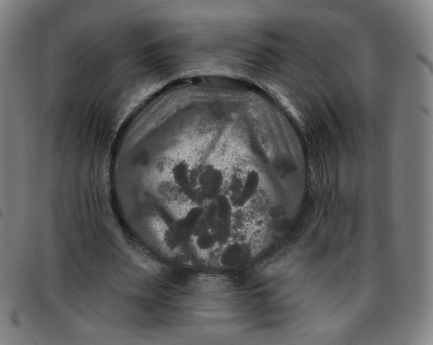 X0000097490487200803071742