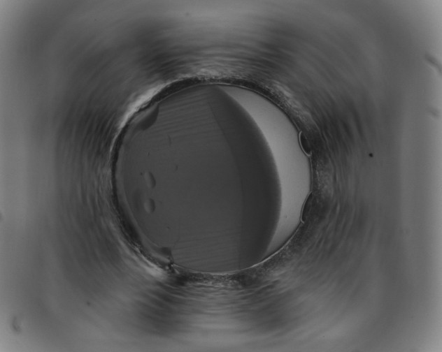 X0000097490488200803071742