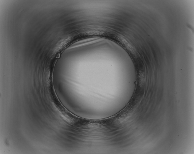 X0000097490490200803071742