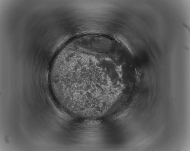 X0000097490491200803071742