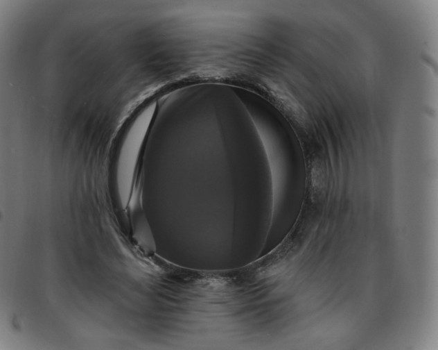 X0000097490492200803071742