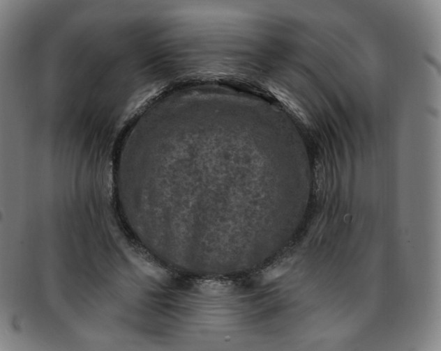 X0000097490494200803071742