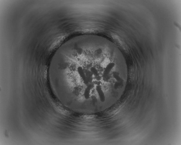 X0000097490495200803071742