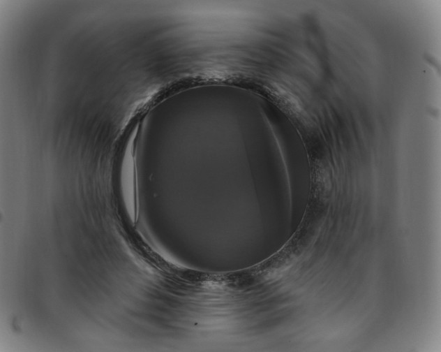 X0000097490496200803071742