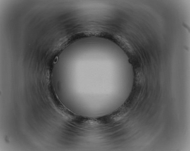 X0000097490498200803071742