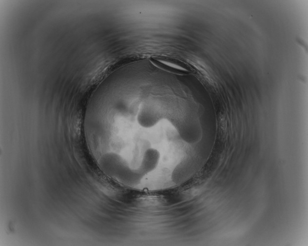 X0000097490499200803071742