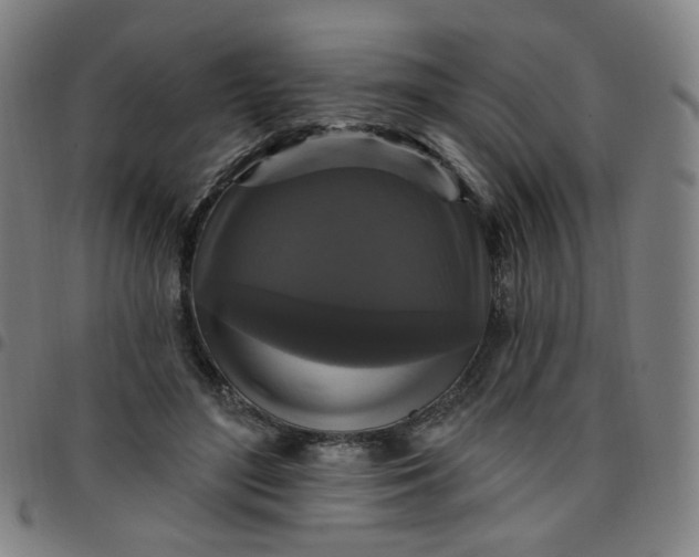 X0000097490500200803071742