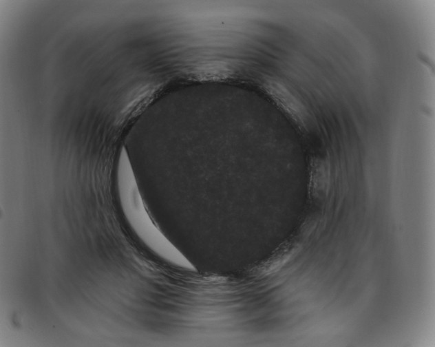 X0000097490501200803071742