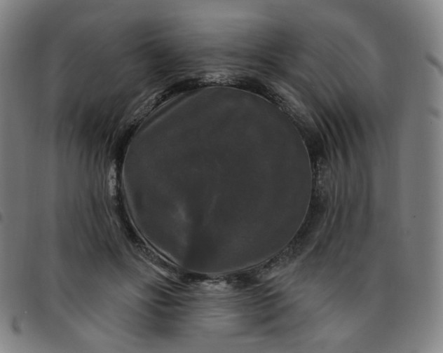 X0000097490502200803071742