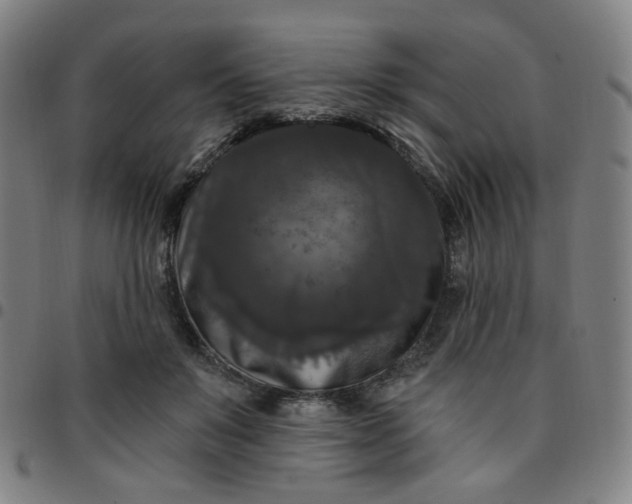 X0000097490503200803071742