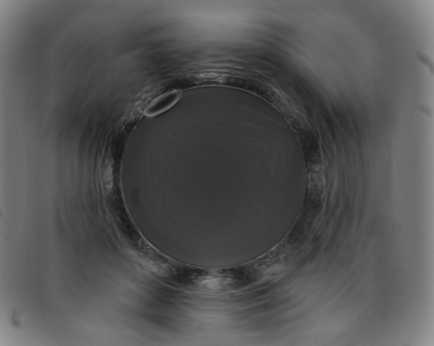 X0000097490504200803071742