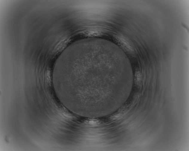 X0000097490506200803071742