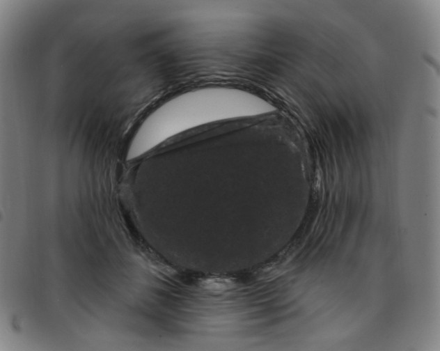 X0000097490508200803071742