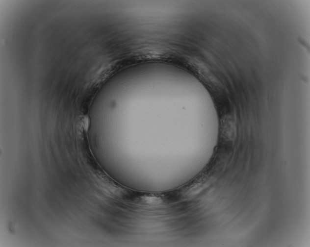 X0000097490509200803071742