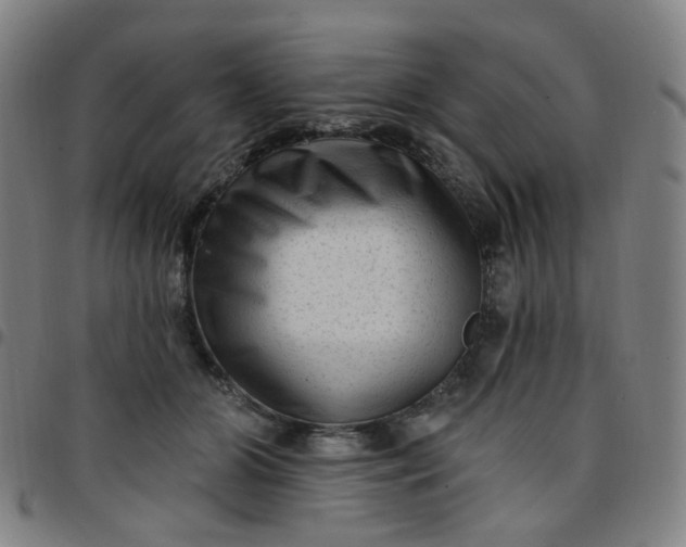 X0000097490510200803071742