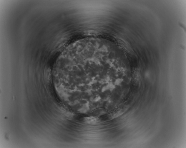 X0000097490511200803071742