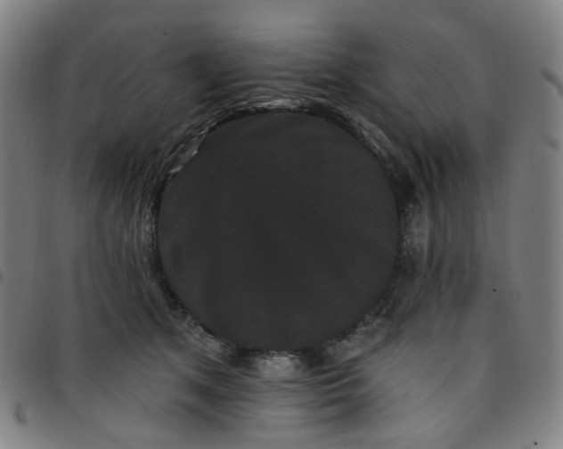 X0000097490513200803071742