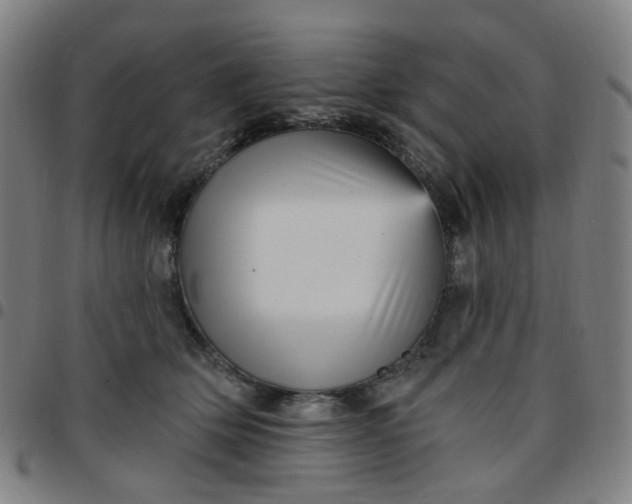 X0000097490514200803071742