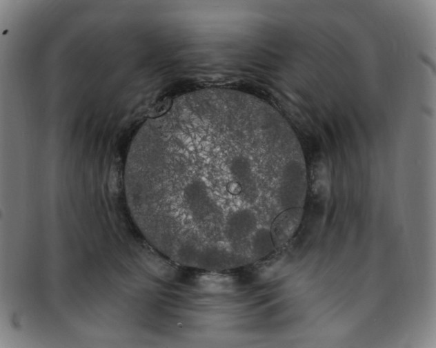 X0000097490515200803071742