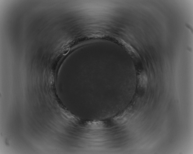 X0000097490517200803071742