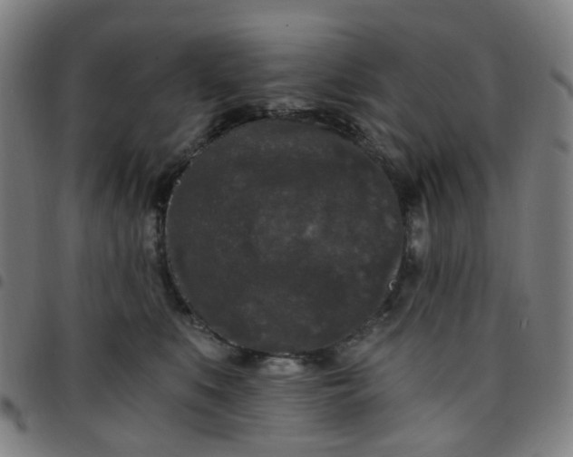 X0000097490519200803071742