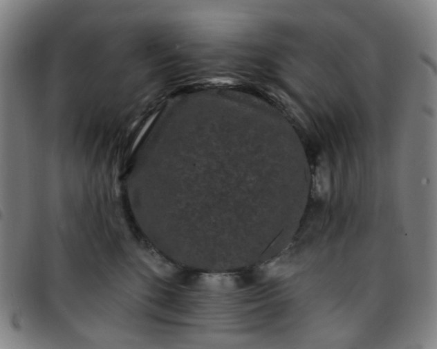 X0000097490520200803071742