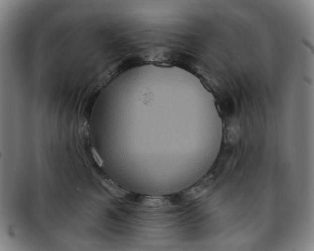 X0000097490521200803071742