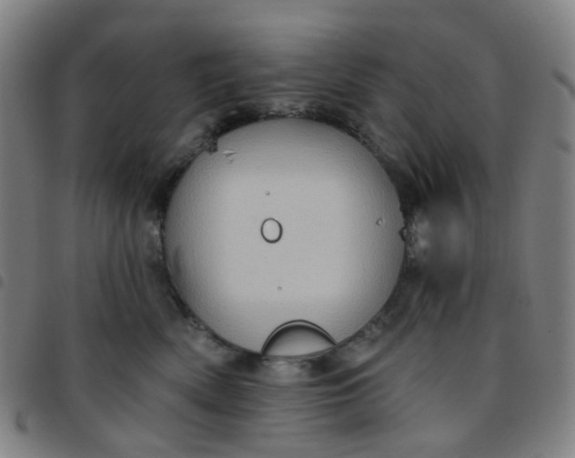 X0000097490522200803071742