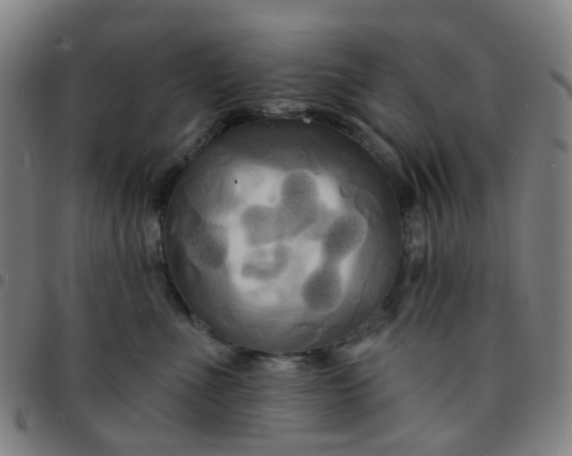 X0000097490523200803071742