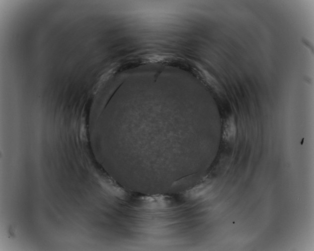 X0000097490524200803071742