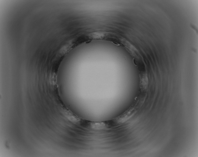 X0000097490525200803071742