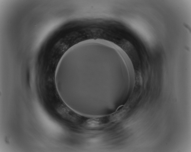 X0000097490526200803071742