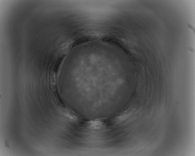 X0000097490528200803071742