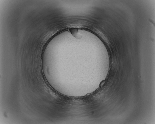 X0000097490529200803071741