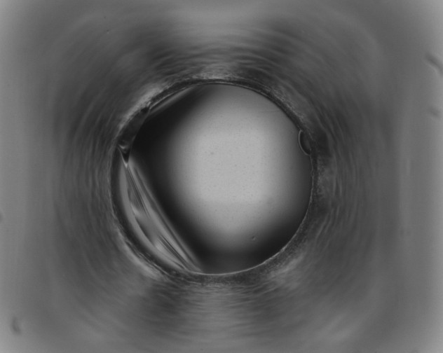 X0000097490530200803071741