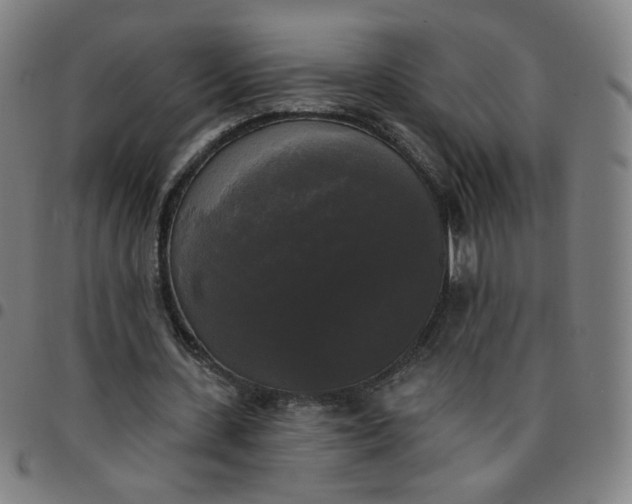 X0000097490531200803071741