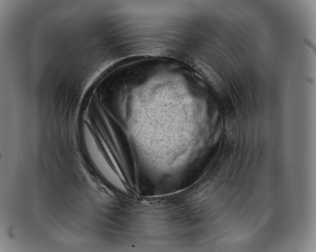 X0000097490532200803071741