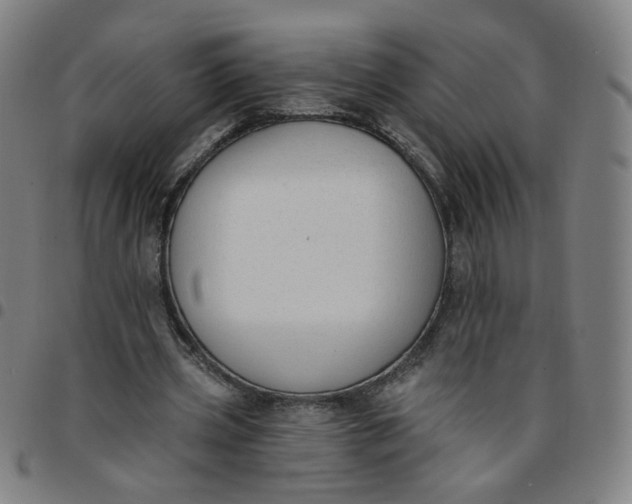 X0000097490533200803071741