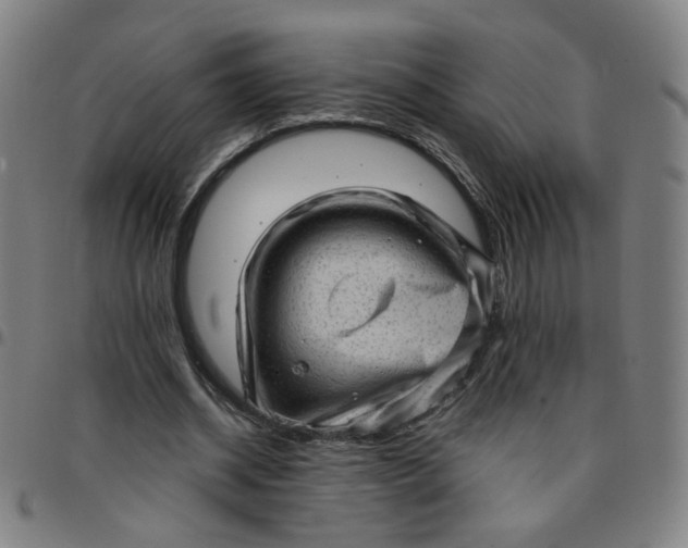 X0000097490534200803071741