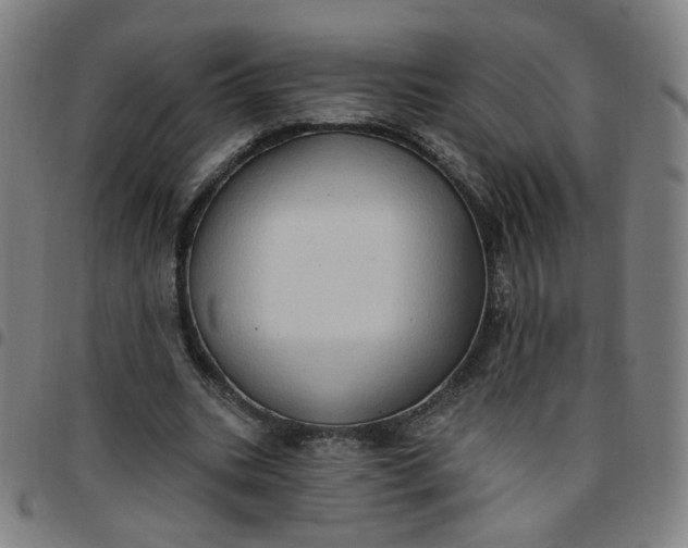 X0000097490535200803071741