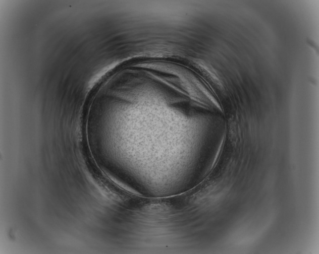 X0000097490536200803071741