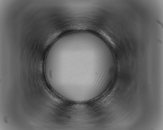 X0000097490537200803071741