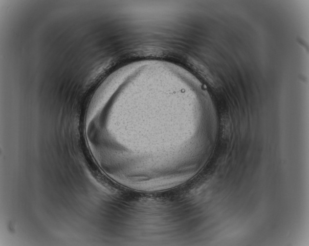 X0000097490538200803071741